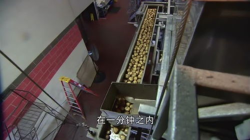 探秘美國全自動薯片工廠 高效流水線下的美味制造